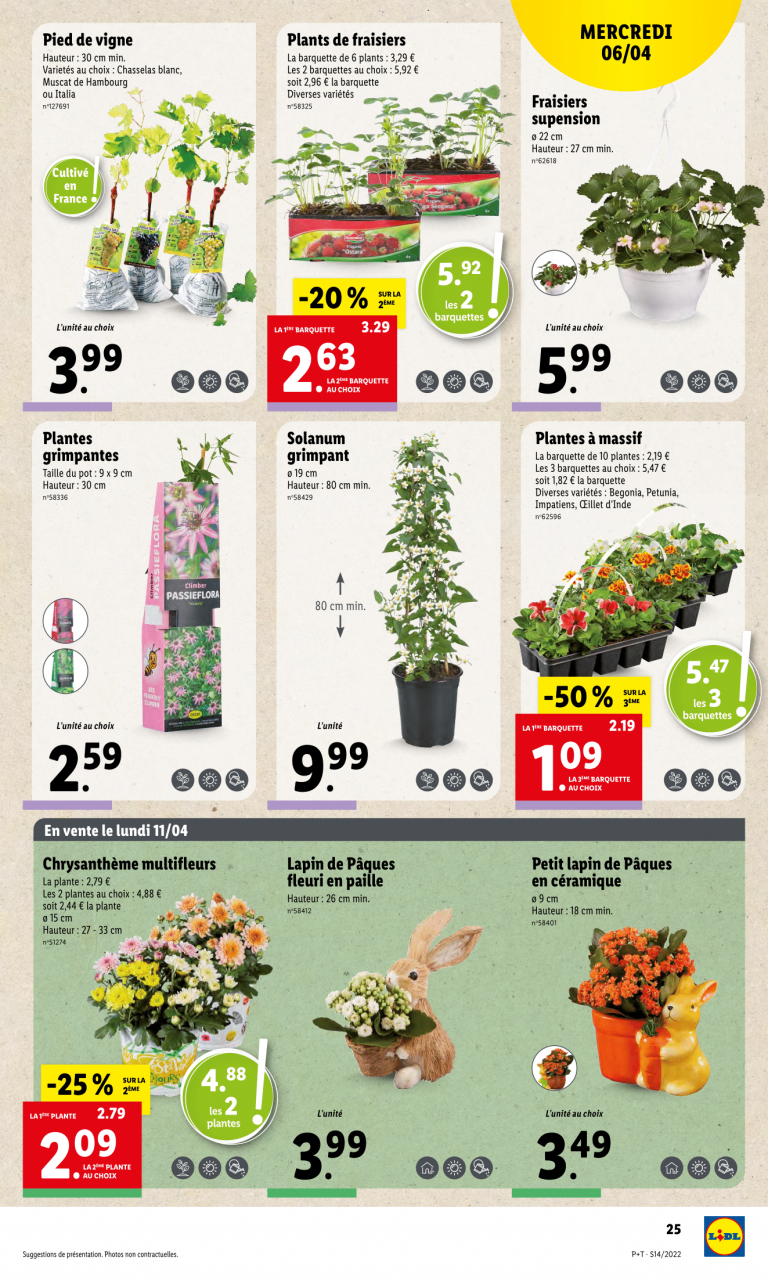 Sitemapcdatahttpsmodeinf Inetcomfoire Aux Plantes Lidl 2022